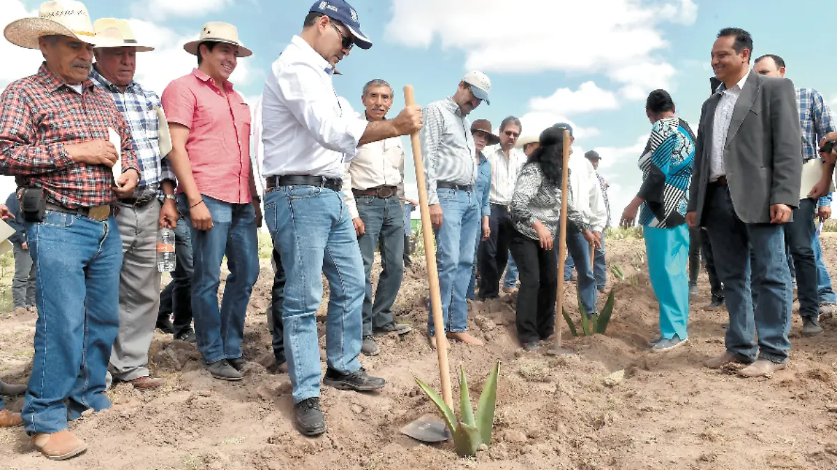 GOBIERNO DEL ESTADO 940 MEZCAL 1